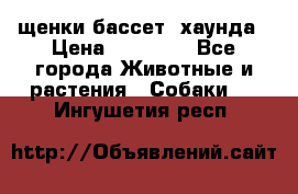 щенки бассет- хаунда › Цена ­ 20 000 - Все города Животные и растения » Собаки   . Ингушетия респ.